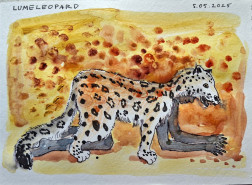 The Snow Leopard